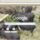 Heo man  screen for extension Chrome web store in OffiDocs Chromium