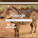 Heo rung chau Phi  screen for extension Chrome web store in OffiDocs Chromium