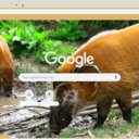 Heo suoi  screen for extension Chrome web store in OffiDocs Chromium