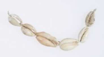 Free download Hepy, String of cowrie shells free photo or picture to be edited with GIMP online image editor