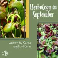 Free download Herbology In September free photo or picture to be edited with GIMP online image editor