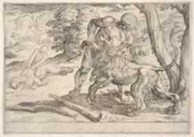 Free download Hercules and the Nemean Lion, from the Labors of Hercules free photo or picture to be edited with GIMP online image editor