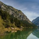 Herd of cows by the lake  screen for extension Chrome web store in OffiDocs Chromium