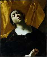 Free download Herodias free photo or picture to be edited with GIMP online image editor