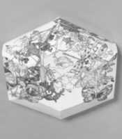 Free download Hexagonal Covered Dish free photo or picture to be edited with GIMP online image editor