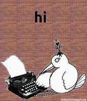 Free download Hi Birds free photo or picture to be edited with GIMP online image editor
