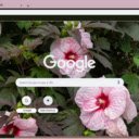 Hibiscus  screen for extension Chrome web store in OffiDocs Chromium