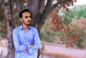 Free download Hidayat web designer free photo or picture to be edited with GIMP online image editor