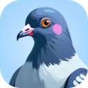 Hidden Pigeon Game Find all the pigeons hidden in each picture!  screen for extension Chrome web store in OffiDocs Chromium