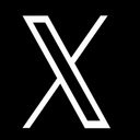 Hide Menu Items on X  screen for extension Chrome web store in OffiDocs Chromium