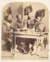 Free download Highlanders free photo or picture to be edited with GIMP online image editor