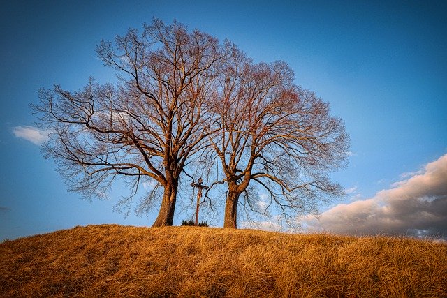 Free download hill meadow trees nature landscape free picture to be edited with GIMP free online image editor