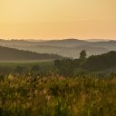 Hills of trees and grass  screen for extension Chrome web store in OffiDocs Chromium