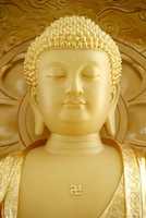 Free download Hinh Phat Chat Luong Cao Dung De In free photo or picture to be edited with GIMP online image editor