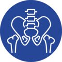 OffiDocs Chromium 中 Chrome 网上商店扩展程序的 HipXpert Connect 屏幕
