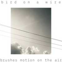 Free download Hi-Q: bird on a wire free photo or picture to be edited with GIMP online image editor