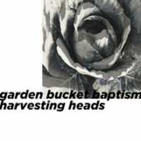 Free picture Hi-Q: heads to be edited by GIMP online free image editor by OffiDocs