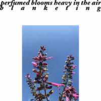 Kostenloser Download von Hi-Q: Parfümierte Blüten, kostenloses Foto oder Bild zur Bearbeitung mit dem Online-Bildeditor GIMP