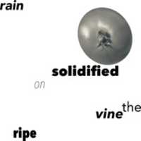 Free download Hi-Q: rain vine ripe free photo or picture to be edited with GIMP online image editor