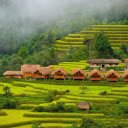 Hoang Su Phi Lodge – A Tranquil Retreat Amidst Ha Giang’s Rice Terraces  screen for extension Chrome web store in OffiDocs Chromium