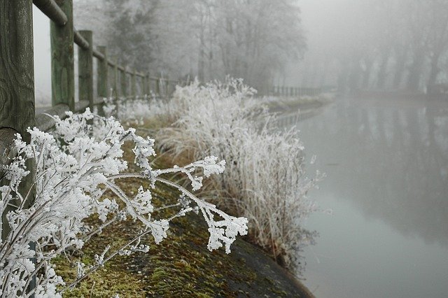 Скачать бесплатно иней мороз зима зимнее волшебство бесплатное изображение для редактирования с помощью бесплатного онлайн-редактора изображений GIMP