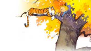 Gratis download Hobbes Bg gratis foto of afbeelding om te bewerken met GIMP online afbeeldingseditor