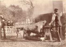 Free download Hog Roast Probably In Kent ( C 1900) ( Rubel Coll.) free photo or picture to be edited with GIMP online image editor