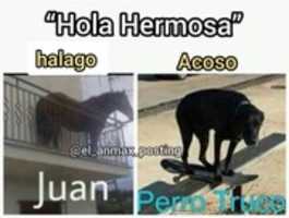 Free download Hola hermosa [ Meme ] free photo or picture to be edited with GIMP online image editor