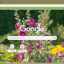 Hollyhock  screen for extension Chrome web store in OffiDocs Chromium