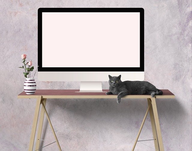 Free download home office homeschooling free picture to be edited with GIMP free online image editor