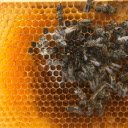 Honeycomb and sweet honey  screen for extension Chrome web store in OffiDocs Chromium