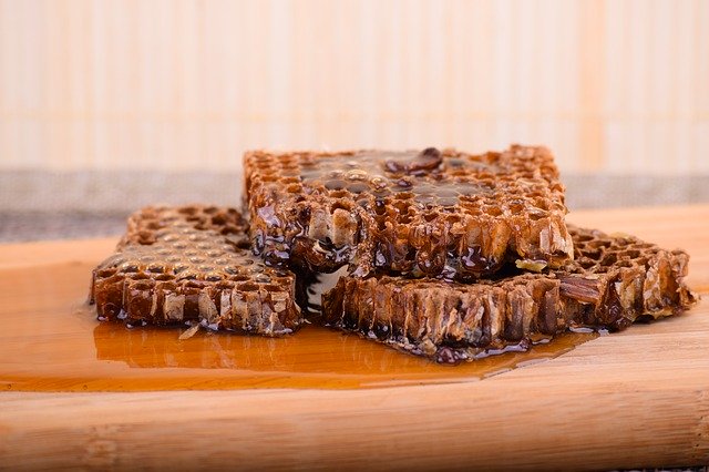 Free download honey honeycomb food healthy free picture to be edited with GIMP free online image editor
