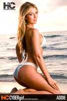 Free download Hooters Calendar Archive Vol. 5 free photo or picture to be edited with GIMP online image editor