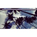 Horizontal Palms  screen for extension Chrome web store in OffiDocs Chromium