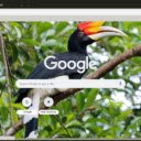 Hornbill  screen for extension Chrome web store in OffiDocs Chromium