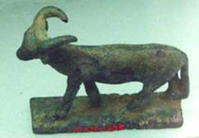 Free download Horned quadruped free photo or picture to be edited with GIMP online image editor