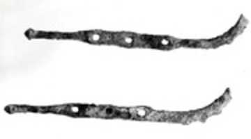 Free download Horse bit cheekpieces free photo or picture to be edited with GIMP online image editor
