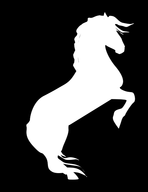 Horse Black On White And -  GIMP online editor free Free download Horse Black On White And -  free illustration to be edited with GIMP free online image editor