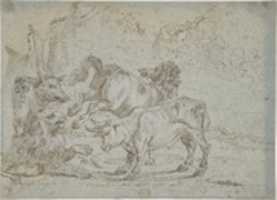 Free download Horse, Bull, Lion, and Boar free photo or picture to be edited with GIMP online image editor