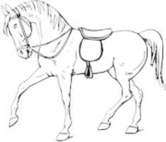 Free download horse-clipart-black-and-white-Kcjzk5Bcq free photo or picture to be edited with GIMP online image editor