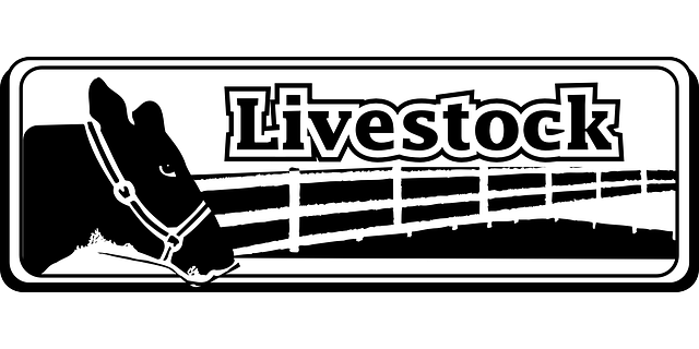 Free download Horse Fence Animal - Free vector graphic on Pixabay free illustration to be edited with GIMP free online image editor