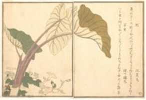 Free download Horsefly (abu); Green Caterpillar, imomushi, from the Picture Book of Crawling Creatures (Ehon mushi erami) free photo or picture to be edited with GIMP online image editor