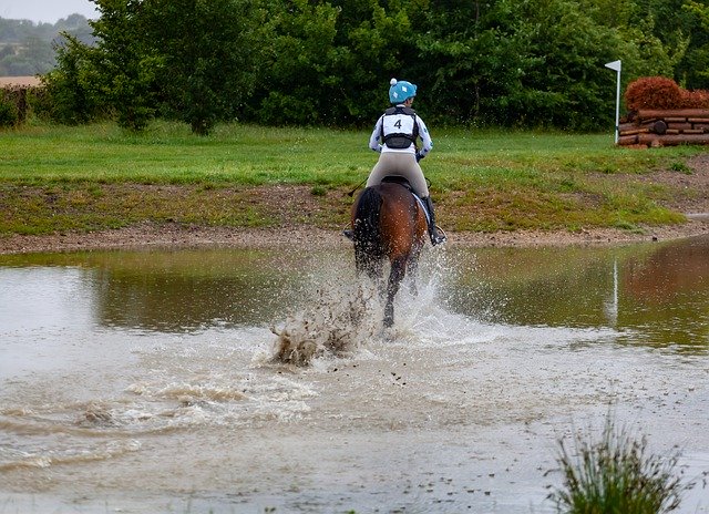 जीआईएमपी मुफ्त ऑनलाइन छवि संपादक के साथ संपादित करने के लिए पानी मुक्त चित्र के माध्यम से मुफ्त डाउनलोड घोड़ा सरपट दौड़ता है
