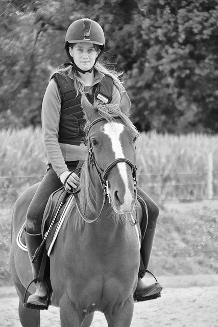 ດາວໂຫຼດຟຣີ horse gelding horse young girl lou free picture to be edited with GIMP free online image editor