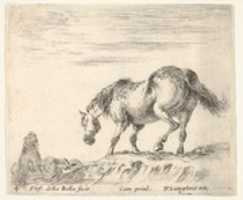 Free download Horse in a Landscape, from Diversi capricci free photo or picture to be edited with GIMP online image editor