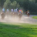 Horse racing competition  screen for extension Chrome web store in OffiDocs Chromium