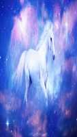 Free download Horses ( 30) free photo or picture to be edited with GIMP online image editor