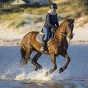 Horses run on water  screen for extension Chrome web store in OffiDocs Chromium
