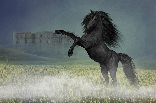 Free download horse stallion rear up free picture to be edited with GIMP free online image editor