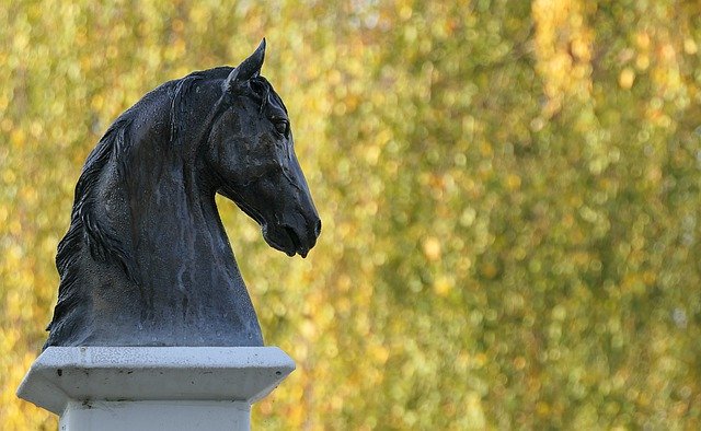 Free download horse statue horse bust free picture to be edited with GIMP free online image editor